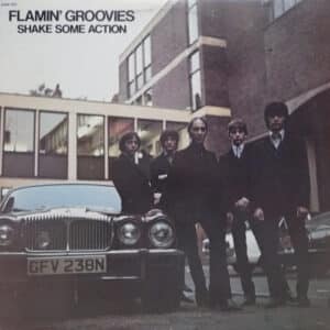 The Flamin' Groovies - Shake Some Action