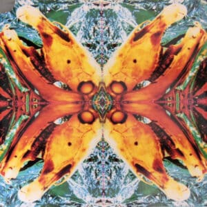 Acid Horse - No Name, No Slogan