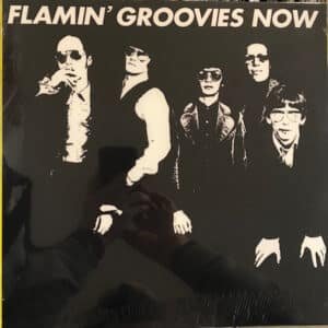 The Flamin' Groovies - Now