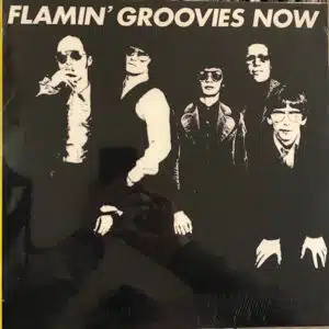 The Flamin' Groovies - Now