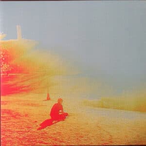 The Flaming Lips - The Terror