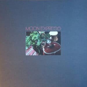 Moon Express Featuring Paul Arnold & Tsvia & The Followers - Prophetic Spirit