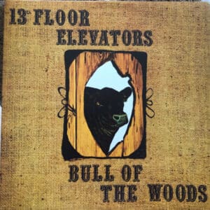 13th Floor Elevators - Bull Of The Woods