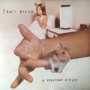 Sonic Youth - A Thousand Leaves-0