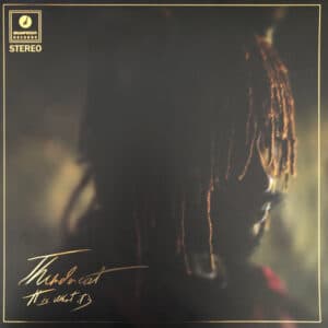 Thundercat - It Is What It Is-0