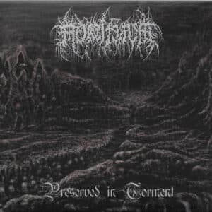 Mortiferum - Preserved In Torment-0