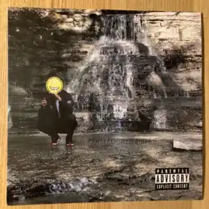 Camoflauge Monk - 42.8864° N 78.8784° W-0