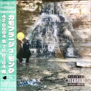 Camoflauge Monk - 42.8864° N 78.8784° W-0