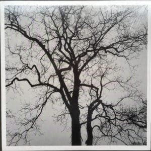 Pete Larson - Field Drift 2-0