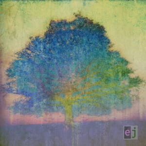 Eric Johnson (2) - EJ-0