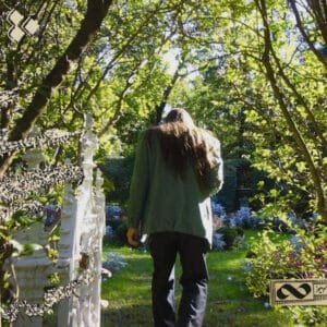 Endless Boogie - Focus Level-0