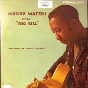 Muddy Waters - Muddy Waters Sings "Big Bill"