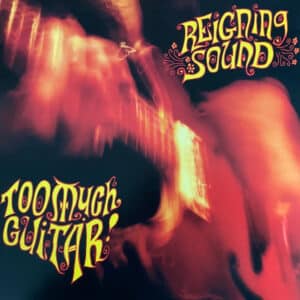 Reigning Sound - Too Much Guitar