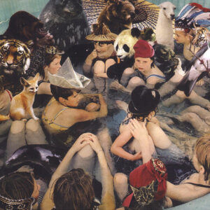 Panda Bear-0