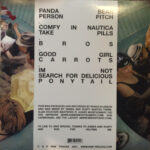 Panda Bear-1