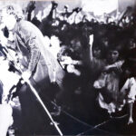 Graham Parker And The Rumour-2