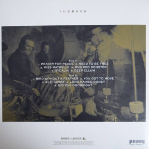 North Mississippi Allstars-1