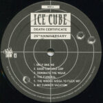 Ice Cube-2