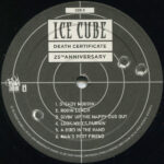 Ice Cube-3