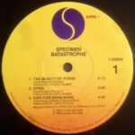 Specimen-2
