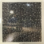 Panda Bear-1