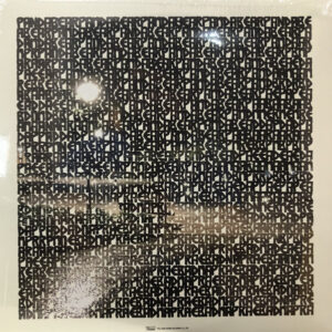 Panda Bear-1