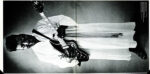 Muddy Waters-1