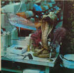 Muddy Waters-2