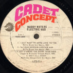 Muddy Waters-3