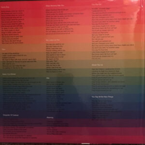 Ty Segall & Freedom Band (3)-1