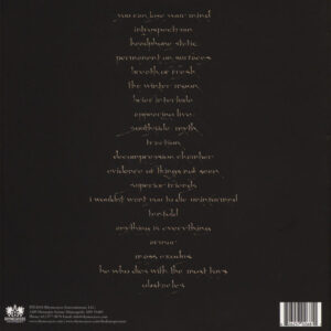 The Dynospectrum-1