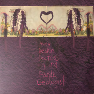 Animal Collective-1