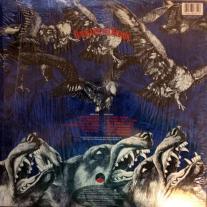 Dokken-1