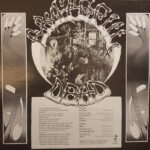 The Grateful Dead-1