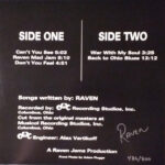 Raven (17)-2