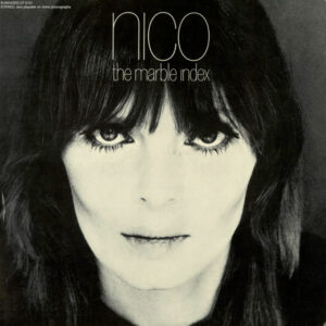 Nico (3)-0