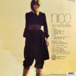 Nico (3)-1