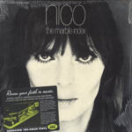 Nico (3)-2