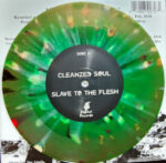 Cleanzed Soul-2