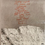 Brittany Howard-1
