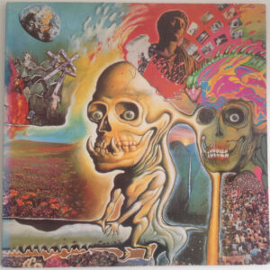 The Flaming Lips-1