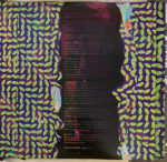 Animal Collective-2