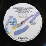 Dweezil Zappa-2