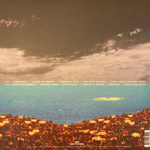 The Wood Brothers-1