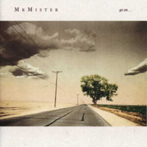 Mr. Mister-0