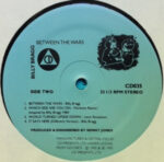 Billy Bragg-3