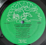 Lil' Ed And The Blues Imperials-2