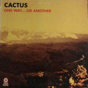 Cactus (3)-0
