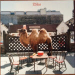 Wilco-1