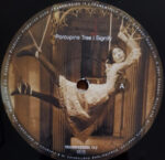 Porcupine Tree-4